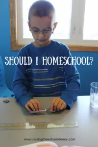 should I homeschool | how to homeschool | start homeschooling | how to start homeschooling | homeschooling consultation | homeschool consultation | reasons to homeschool