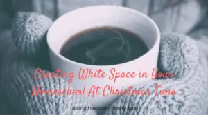 homeschool | homeschool schedul | homeschooling | christian homeschooling | christian homeschool | white space | how to find white space | relaxed homeschool schedule | christmas homeschool schedule | homeschooling at christmas time | christmas schedule | how to have stress free holiday | holiday schedule | holiday schedules