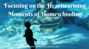 homeschool | homeschooling | homeschool tips | homeschooling tips | how to homeschool | homeschool mom | think positive | struggling reader | how to make homeschool fun