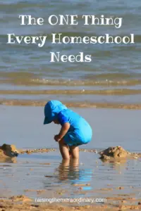 homeschool | homeschooling | christian homeschool | homeschool tips | homeschooling tips | how to homeschool | how to pick curriculum | homeschool methods | homeschooling methods